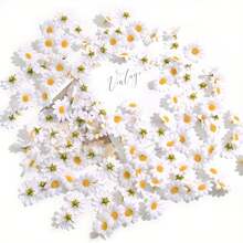 20/100pcs Artificial White Daisy Headpiece, Suitable For Hat Decoration, Cake Decoration, DIY Handicraft Decoration, Indoor Decoration Aesthetics, Graduation Gift Decoration Flowers, Bedroom Decoration, Wedding Decoration, Yellow Small Daisy Flower Whole Pack Wholesale, Handmade Woven Flower Garland, Dessert Table Backdrop, Photography Props Floral Accessories, Durable Non-Fading Decorative Flower Head, Artificial Small Daisy - Small Daisy Flower Head - View 3