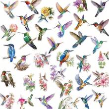 50Pcs Bird Stickers Transparent Stickers Aesthetic Stickers Colored Stickers Floral Stickers Vinyl Stickers Stickers For Water Bottle, Hydroflask, Guitar, Luggage, Phone, Case, Laptop, Skateboard, Gift,School Supplies,Back To School