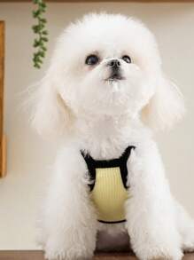 25pcs New Breathable Cool Vest Harness For Small Pets Cats Dogs Teddy, Spring/Summer