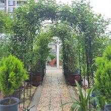 Arco de jardín de metal, Emparrado de jardín, Soporte para plantas trepadoras, Arco de rosas negro - Negro - Ver 5