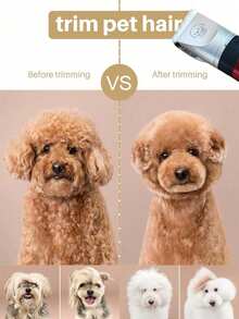 1 件 USB 供电宠物毛发修剪器、电动剃须刀、猫或狗爪毛去除器，用于修剪爪子、耳朵、眼睛和私人区域周围的毛发，适用于宠物美容，安静的电动宠物电推剪套装，适用于狗和猫
