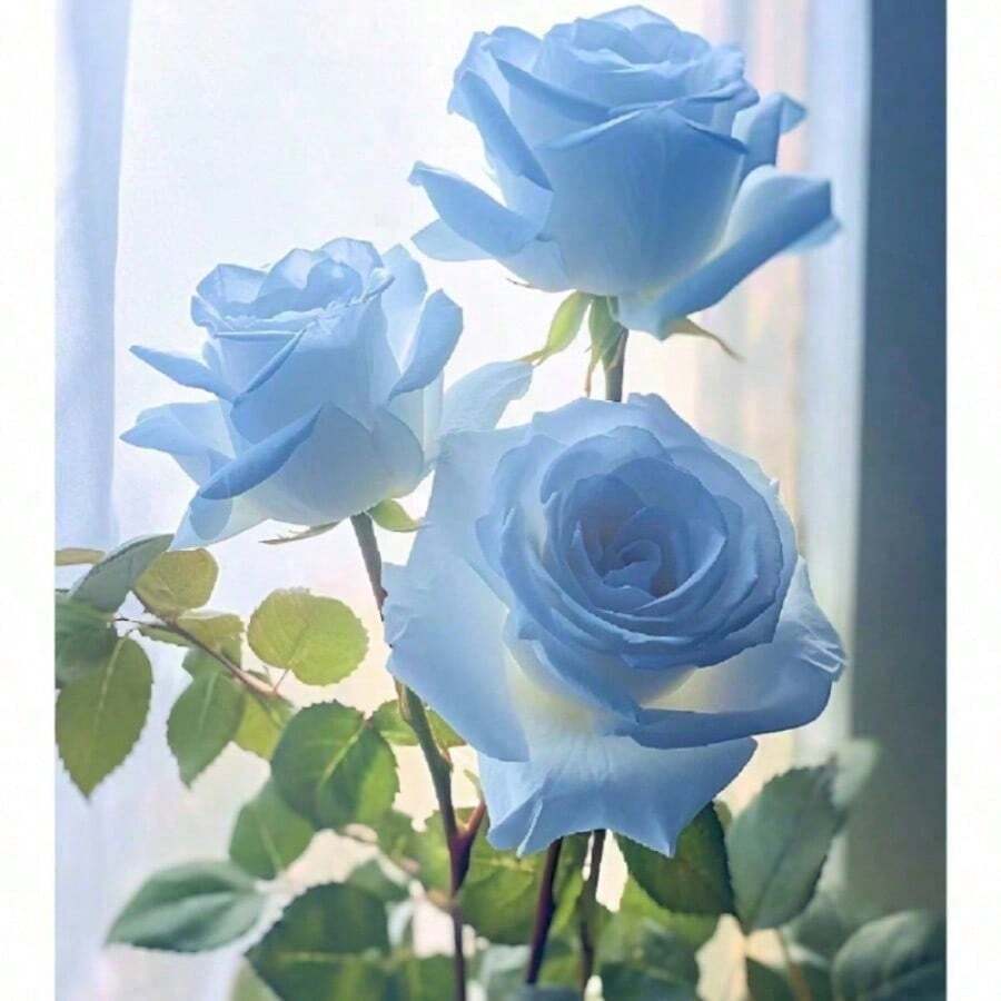 100 Blue Dragon Rose Rosa Seeds For Planting | Rare Striking Beautiful Stripe Rose Bush Seed For Garden Yard & Attract Pollinators - 100 Seeds - View 1