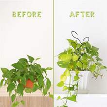 2 件植物攀爬架，户外盆栽支架，创意花艺支架，藤架，植物花插架