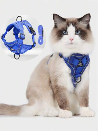 反光宠物背带和牵引绳套装，适用于狗和猫，防逃脱可调节小型犬背带，带柔软网眼，四季皆宜