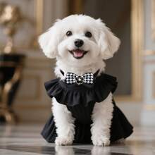 6pcs Random Color Elegant Camellia Flower Bow Tie Pet Collars, Fashion Pet Neckwear For Dogs & Cats, Photography Accessories