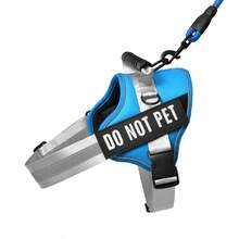 Customized Pet Collars, Leashes & Harnesses