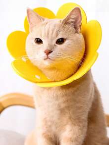 伊丽莎白项圈 - 宠物绝育项圈头套，宠物防咬颈锥