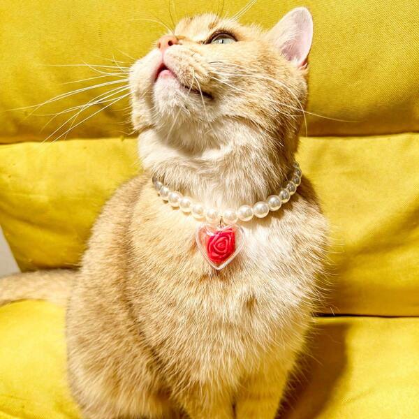 Fashion Love Pendant Pearl Pet Necklace Suitable For Small And Medium-Sized Dog Collar Cat Dog Accessories