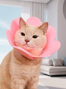 伊丽莎白项圈 - 宠物绝育项圈头套，宠物防咬颈锥