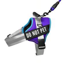 Customized Pet Collars, Leashes & Harnesses