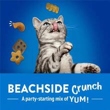 Friskies Party Mix Beachside Crunch Crunchy With Chicken And Seafood Flavor Cat Treats - 1 - 查看 3