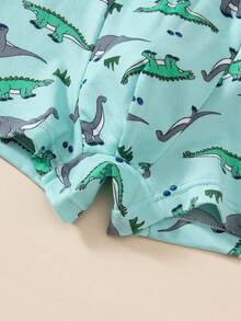 4 件装男童恐龙印花三角裤，幼儿儿童平角短裤