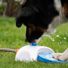 1pc Pet Paw Activated Automatic Water Dispenser, Sprinkler Waterer Drinking Machine, Dog Paw Operated Water Toy For Outdoor Garden - Multicolor - View 9