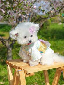 1pc Pet Dress, Stylish & Casual Lovely Comfortable Cherry Blossom Pattern Japanese Style Outfit For Small Dogs And Cats - Purple - View 7