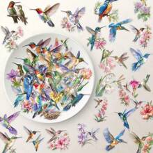 50Pcs Bird Stickers Transparent Stickers Aesthetic Stickers Colored Stickers Floral Stickers Vinyl Stickers Stickers For Water Bottle, Hydroflask, Guitar, Luggage, Phone, Case, Laptop, Skateboard, Gift
