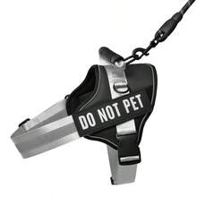 Customized Pet Collars, Leashes & Harnesses