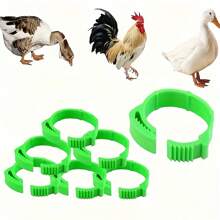 30/90/150 pezzi Fasce per zampe di pollo regolabili e riutilizzabili - Anelli di plastica resistente per zampe di polli, anatre, oche | Facili da usare, senza alimentazione richiesta | Accessori per polli