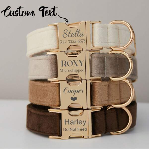 Collar y correa para perro personalizados de terciopelo multicolor con placa de nombre de mascota grabada, hebilla de metal, regalo de boda para cachorros, en colores dorado, elegante y vintage, adecuado para baile de graduación, fiestas, joyas doradas, útiles escolares, para adolescentes, estudiantes de escuela secundaria, universidad y primer año