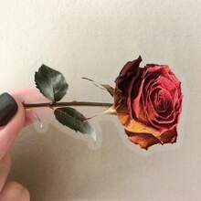 50Pcs Transparent Stickers Wabi Sabi Decor Clear Stickers Flower Stickers Rose Stickers Wabi Sabi Art Aesthetic Stickers PET Waterproof Stickers For Water Bottle,Computer,Laptop,Phone,Luggage,Notebook,Fridge - Multicolor - View 7