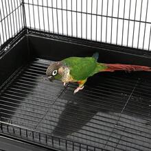 Jaula Para Pájaros De 59 Pulgadas Con Tapa Abierta Para Loros, Cacatúas, Conures, Periquitos, Tortolitos, Periquitos, Pinzones, Jaula Para Pájaros Canarios Con Soporte Extraíble - Black - View 8