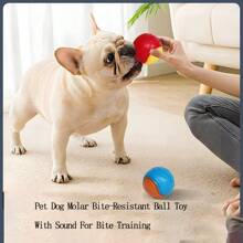 1pc Random Color,2.55in Squeaky Dog Chew Toys Rubber Ball For Aggressive Chewers Teeth Cleaning - Bite-Resistant Dental Ball With Noise Maker For Puppy Teething Training ,Dog Accessories