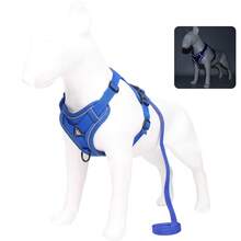 Reflective Pet Harness And Leash Set For Dog & Cat, Escape Proof Adjustable Small Dog Harness With Soft Mesh All-Season - Royal Blue - View 10