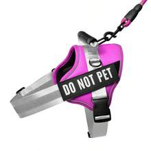 Customized Pet Collars, Leashes & Harnesses