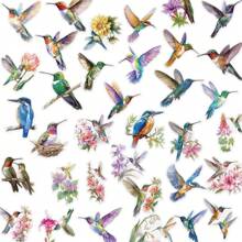 50Pcs Bird Stickers Transparent Stickers Aesthetic Stickers Colored Stickers Floral Stickers Vinyl Stickers Stickers For Water Bottle, Hydroflask, Guitar, Luggage, Phone, Case, Laptop, Skateboard, Gift