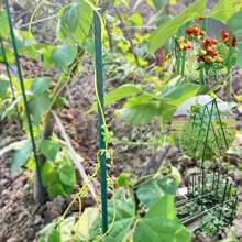 Set di grigliati da giardino in metallo, supporto durevole per la scalata delle piante, adatto per vari frutti, piante, verdure, serre, necessità per la semina all aperto