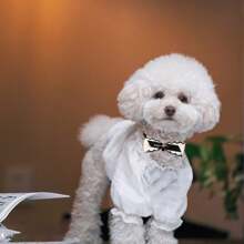 6pcs Random Color Elegant Camellia Flower Bow Tie Pet Collars, Fashion Pet Neckwear For Dogs & Cats, Photography Accessories