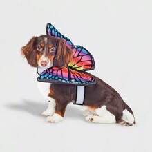 Halloween Butterfly Wings Dog And Cat Costume - Hyde And EEK! Boutique™ - 1 - View 1