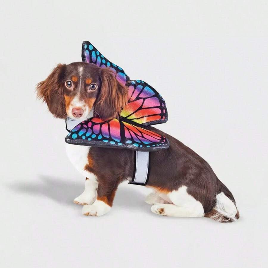 Halloween Butterfly Wings Dog And Cat Costume - Hyde And EEK! Boutique™ - 1 - View 1
