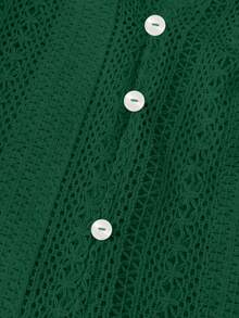 Women's Single-Breasted Long Sleeve V-Neck Blouse, Loose And Versatile, Elegant Button-Up Shirt - 墨綠色 - 查看 6