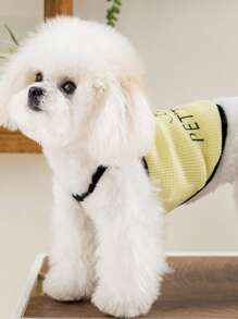25pcs New Breathable Cool Vest Harness For Small Pets Cats Dogs Teddy, Spring/Summer