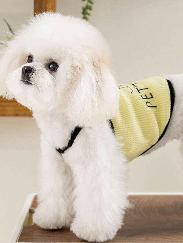 25pcs New Breathable Cool Vest Harness For Small Pets Cats Dogs Teddy, Spring/Summer