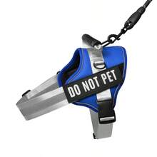 Customized Pet Collars, Leashes & Harnesses