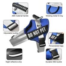 Customized Pet Collars, Leashes & Harnesses