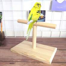 Wooden Bird Stand, Parrot Training Perch, Desktop Parrot Toy, Love Bird Chewing & Grinding Toy - Ginger - View 5