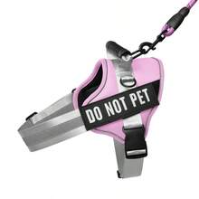 Customized Pet Collars, Leashes & Harnesses