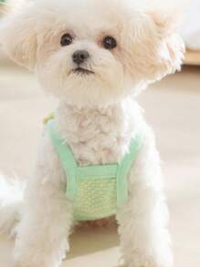 3D Flower Leash Harness For Small Dogs, Fashion Design Outfit For Poodle, Pomeranian, Spring/Summer Pet Dog Clothes