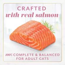 Gems Seafood, Fish, Salmon Flavor Adult Wet Food - 2oz/2ct