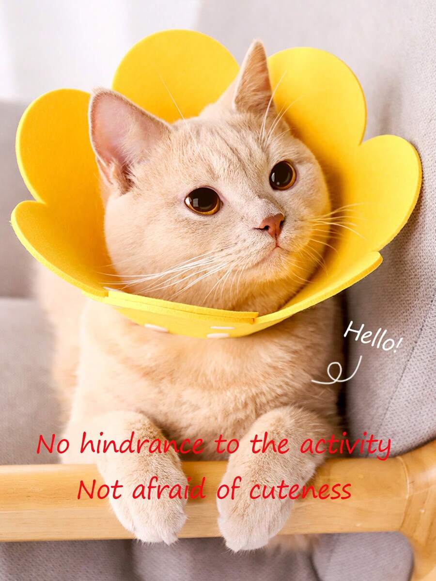 1件伊丽莎白圈猫绝育项圈，宠物颈圈，猫狗防咬保护项圈 - 黃色 - 查看 1
