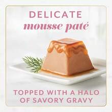 Gems Seafood, Fish, Salmon Flavor Adult Wet Food - 2oz/2ct