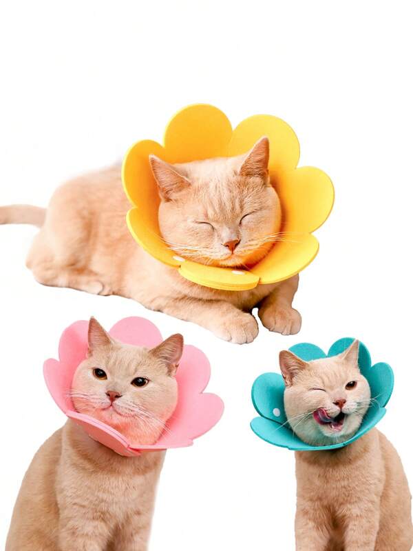 猫の避妊・去勢用エリザベスカラー、ペットの噛み防止ネックコーン