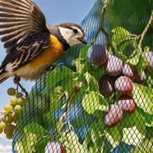 Pond Netting Pond Leaf Net, Satin Pond Cover, Heavy Satin Pond Net, Pond Protective Cover Net Protects Satin Fish From Birds Pond Netting Pond Leaf Net, Satin Pond Cover, Heavy Satin Pond Net, Pond Protective Cover Net Protects Satin Fish From Birds