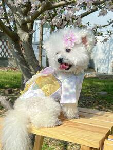 1pc Pet Dress, Stylish & Casual Lovely Comfortable Cherry Blossom Pattern Japanese Style Outfit For Small Dogs And Cats - Purple - View 4
