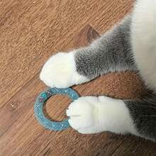 猫咪喜欢玩玩具，甜甜圈形状的猫软管，带铃铛声音，弹簧猫玩具，多种颜色供您选择 - 彩色 - 查看 7