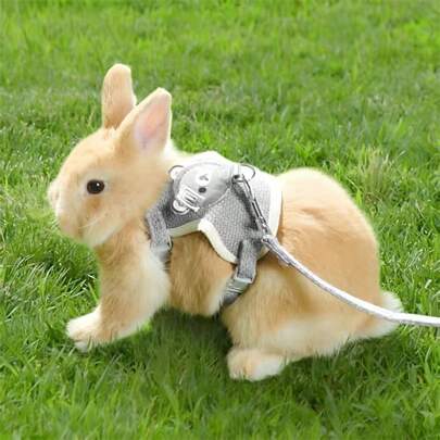 1 szt. Smycz dla królika, Akcesoria dla królika, Szelki, Obroża i smycz dla małych zwierząt, Szelki ze smyczą, Szelki dla królika, Regulowana smycz, Oddychająca uprząż