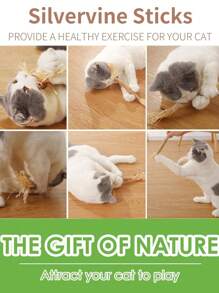3PCS Silvervine Chew Sticks For Cats, Catnip Chew Sticks Cat Toys For Indoor Cat Kitten Teeth Grinding Interactive Feather Toys For Aggressive Chewers Dental Care/7pcs /Set
