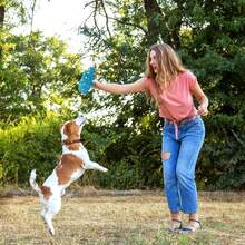1 pieza Juguete de cerdo/perro con puntos de látex natural que produce sonidos, adecuado para perros de raza pequeña, mediana y grande para uso en interiores y exteriores - Multicolor - Ver 8